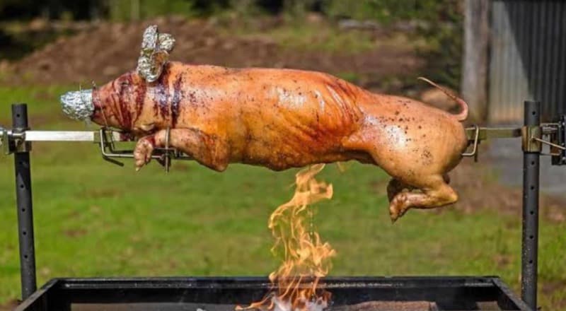 Whole pig roasting on the spit