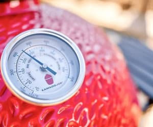 Large Integrated Temperature Gauge